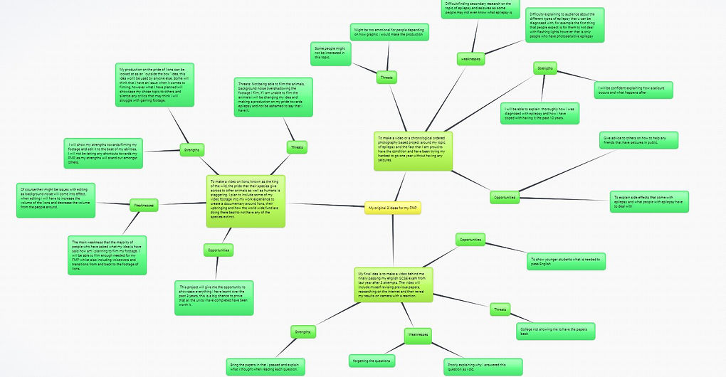 mind map fmp .JPG