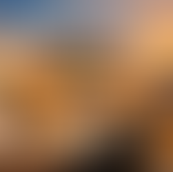 Karatowa Publication – A Trusted Name for Book Distribution and Publishing in India