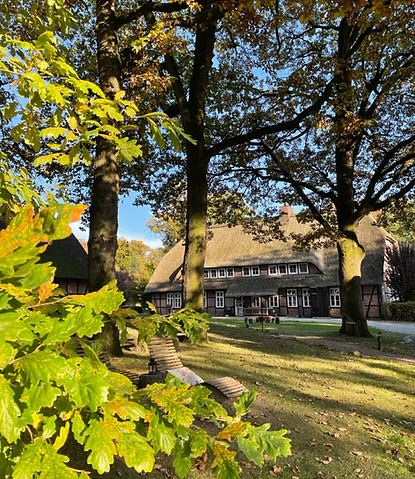 Yogaretreat Stimbekhof Mandy Klees
