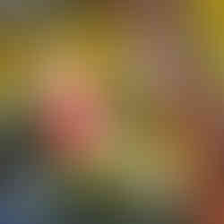 Pulley System at the HEB Body Adventure at the Witte Museum