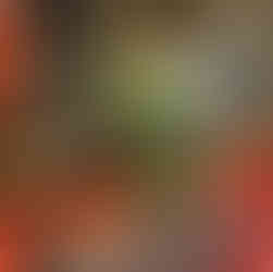 Jade Fish by Huang Fu at the Bowers Museum