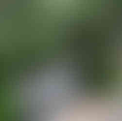 Bridge over Glacier Gorge Trail at Rocky Mountain National Park