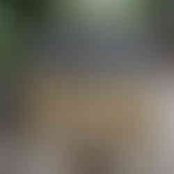 Glacier Gorge Trail Signs at Rocky Mountain National Park