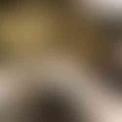 Pecos people display at the Witte Museum