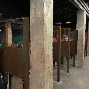 Barriers on the Expedition Everest Ride in Animal Kingdom at Walt Disney World 