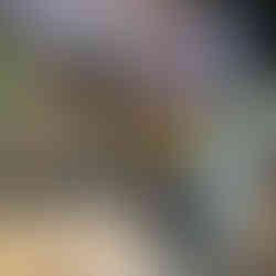 The Wild Boar of the Texas Wild Gallery at the Witte Museum