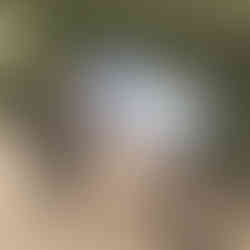 Packrat Playhouse Signage at the Arizona-Sonora Desert Museum