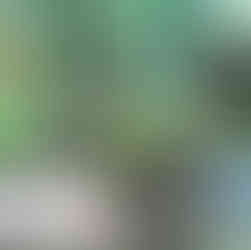 Deinosuchus of the Coastal lands of Texas at the Dinosaur Gallery at the Witte Museum