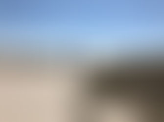 Disney's Hilton Head Island Resort