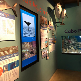 Pacific Ocean Wall at the Warden Aquarium at the Arizona-Sonora Desert Museum