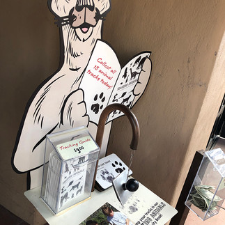 Animal Tracking Station at the Entrance of the Arizona-Sonora Desert Museum