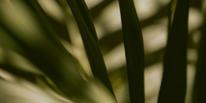 download (7) (1).png