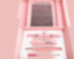 4A775D97-29E3-4ADE-A0D4-EEE58CDB9F4E_edited.jpg