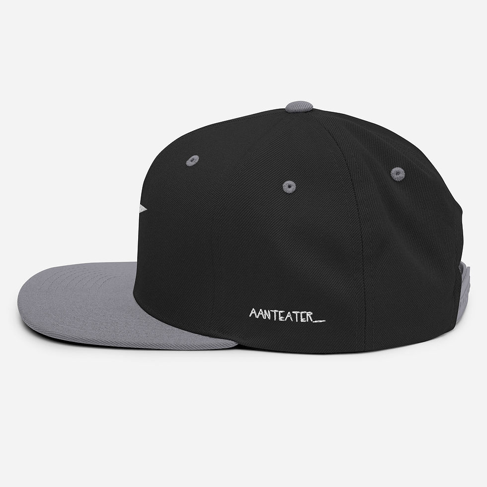 Thumbnail:  Anteater icon logo Classic Snapback | Yupoong