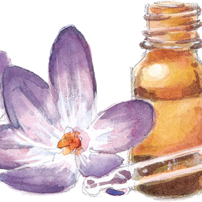 Des Fleurs de Bach® pour mes chevaux