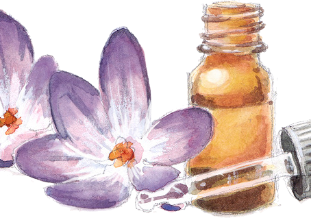 Des Fleurs de Bach® pour mes chevaux