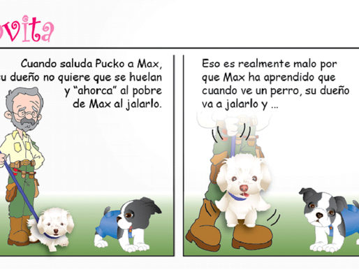 Puko y Covita