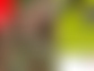 Distrito presenta campaña para la protección de la fauna silvestre y los animales de compañía