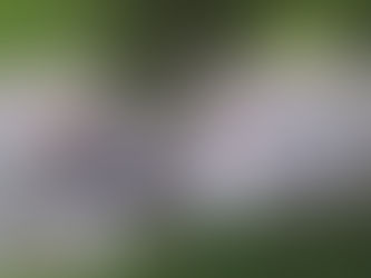 Control de plagas mediante la fumigación por parte de la Sudred Suroccidental