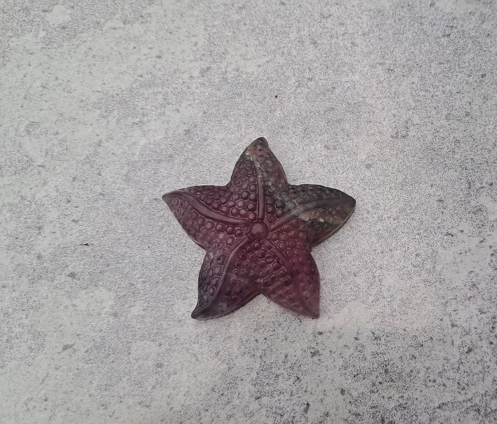Thumbnail: Flourite Starfish with black pouch