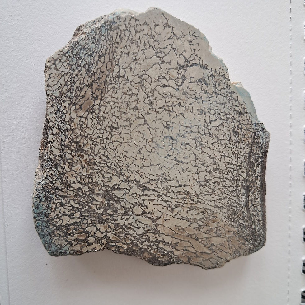 Thumbnail: Dinosaur bone fossil slice