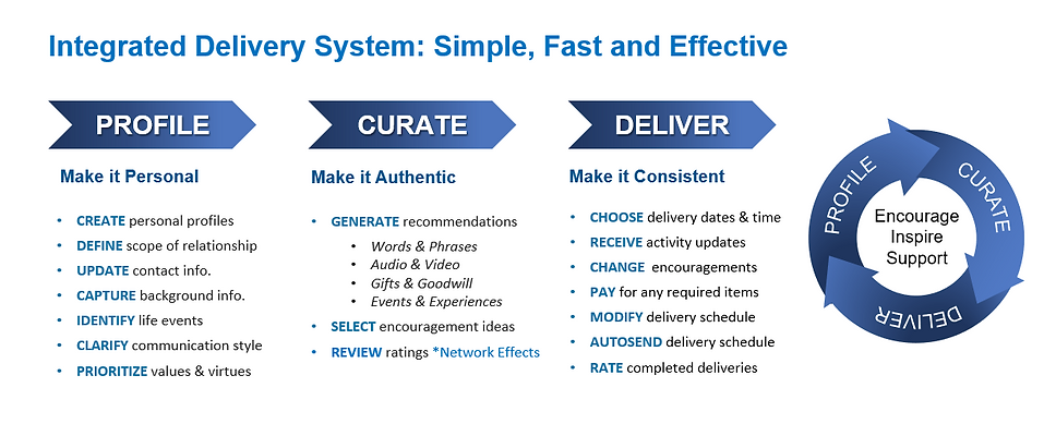INTEGRATED DELIVERY SYSTEM.PNG