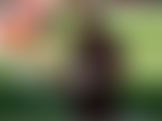 Touchdown Tunes: Songs to Add to Your Football Favorites Mix