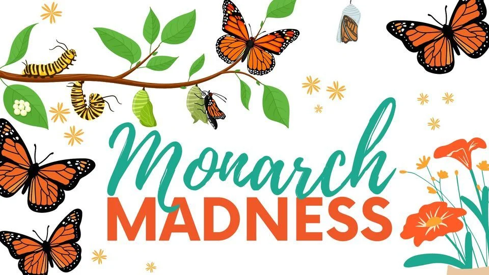 Monarch Madness