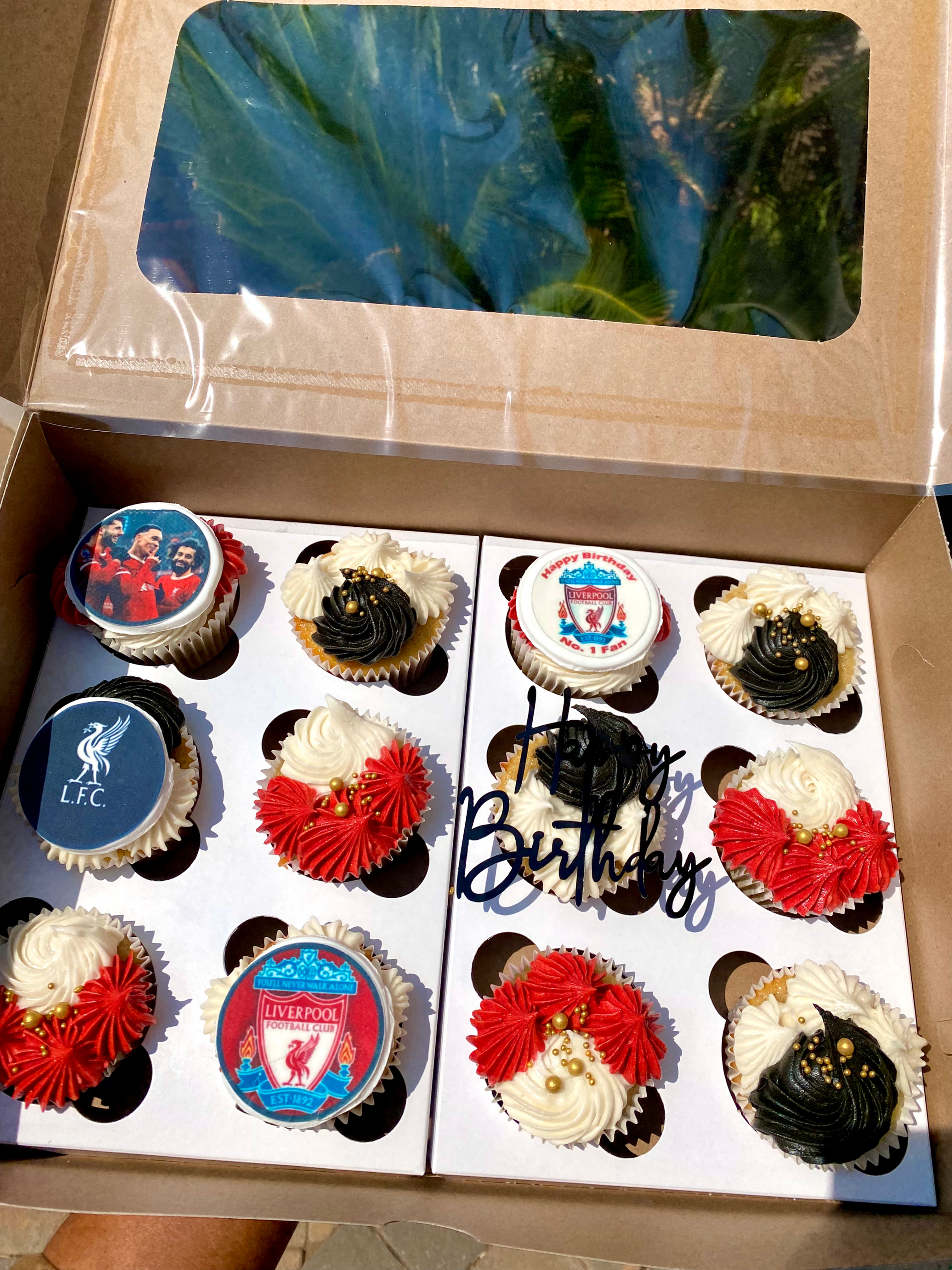 Birthday Cupcakes w/Pictures (12)