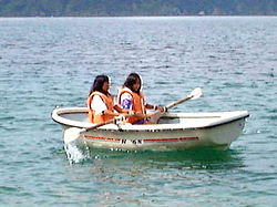 grassboat2.jpg