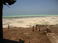*DSC04829.JPG