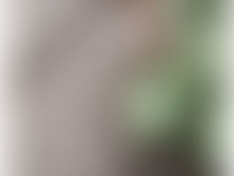 Zion Builders, Inc. to Help Bring Fire-resistant Trex Decking to Northern Nevada