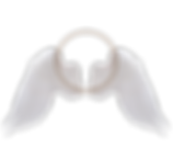 Website Final-06.png