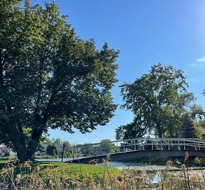 lake and trees with a walking bridge with white railing