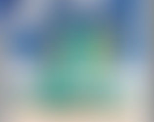 MIAMI y ORLANDO-MIAMI