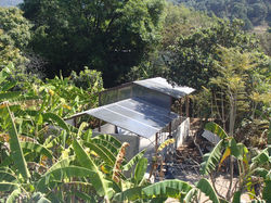 Green House/ cto maquinas & servicio