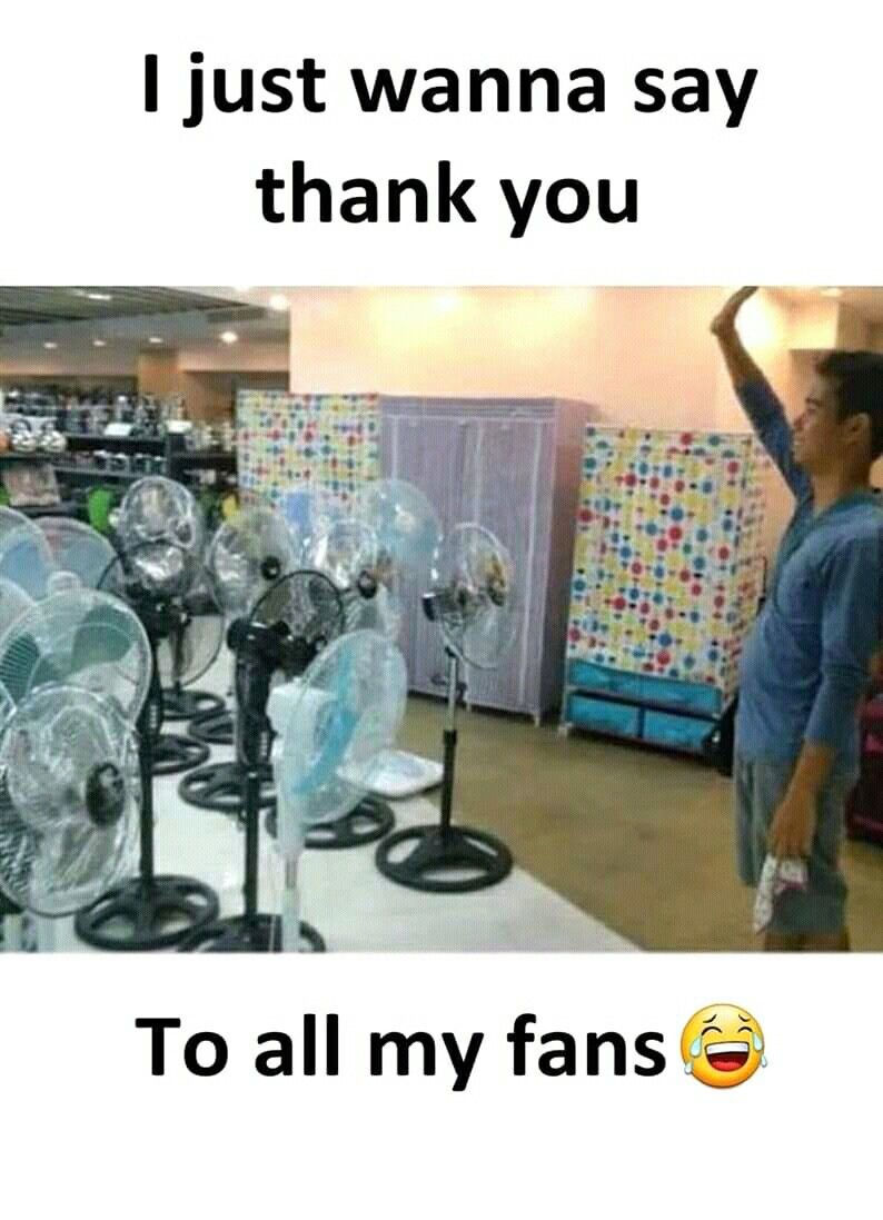 Fans pun meme