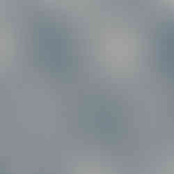 Heritage Botanical Light - Wallpaper, Decor & Fabric