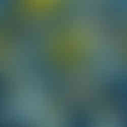 Magical Nursery Funny Cute Wallpaper Fabrics Decor for Kids