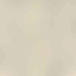 Heritage Botanical Light - Wallpaper, Decor & Fabric