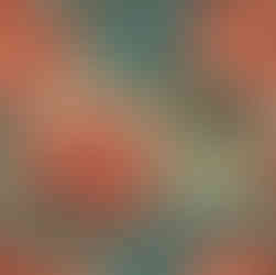 Japanese Edo for Your Home