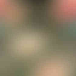 Japanese Edo for Your Home