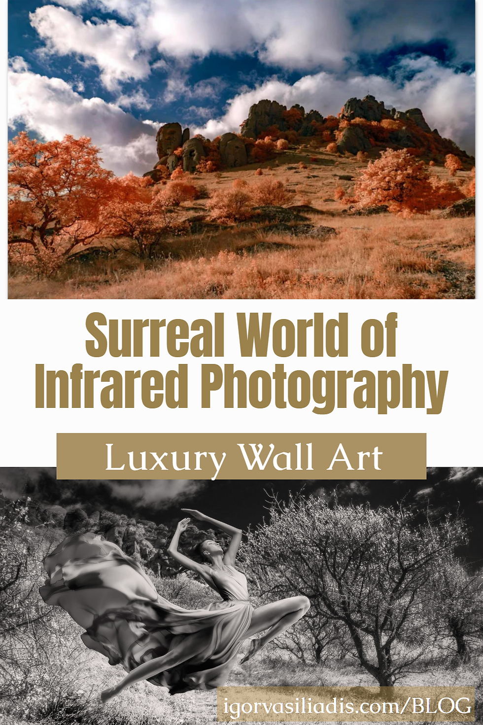 Surreal World of Infrared Photography