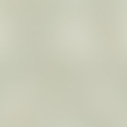 Heritage Botanical Light - Wallpaper, Decor & Fabric