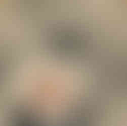 Japanese Edo for Your Interior