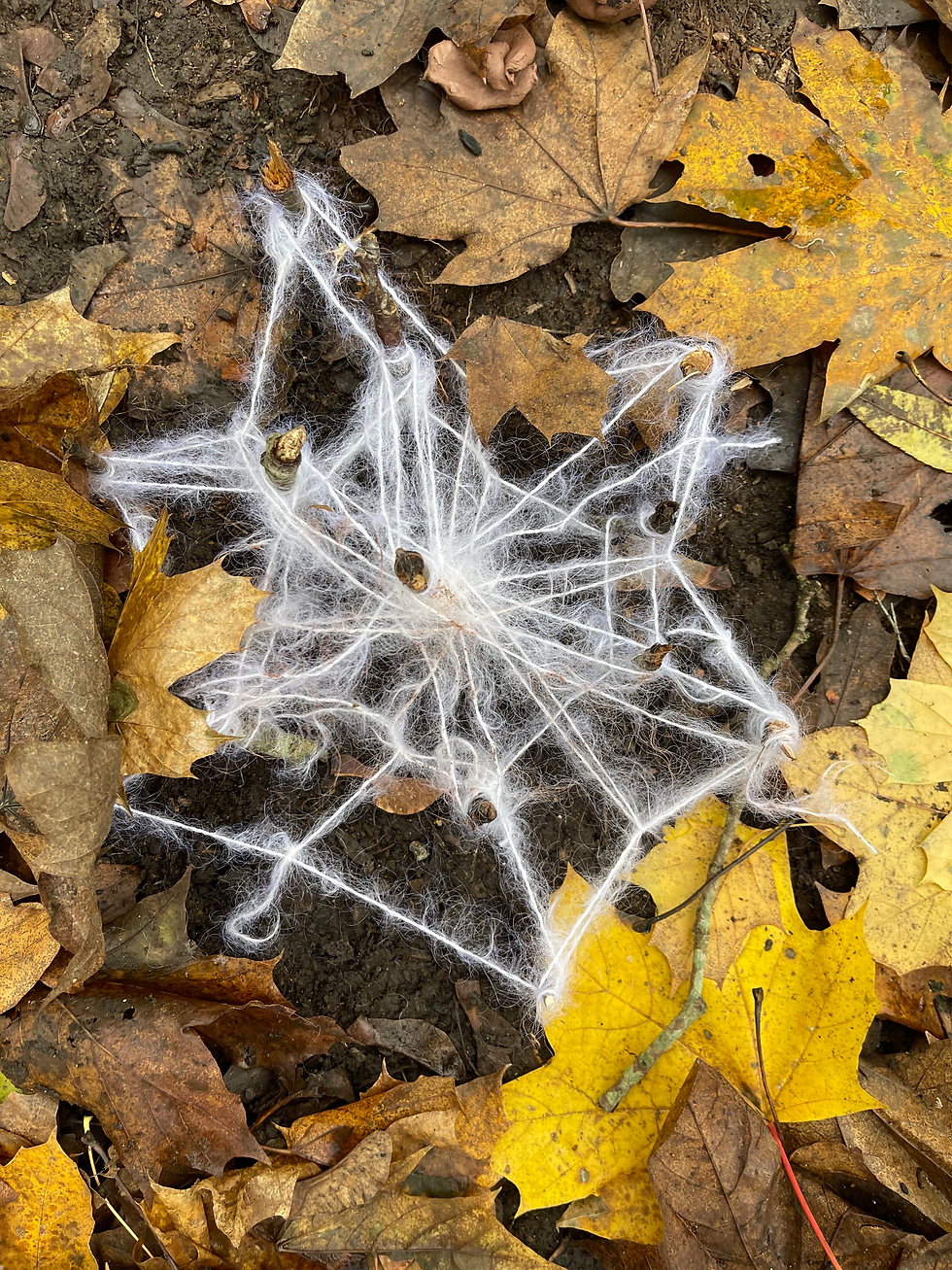 Weekend Forest School