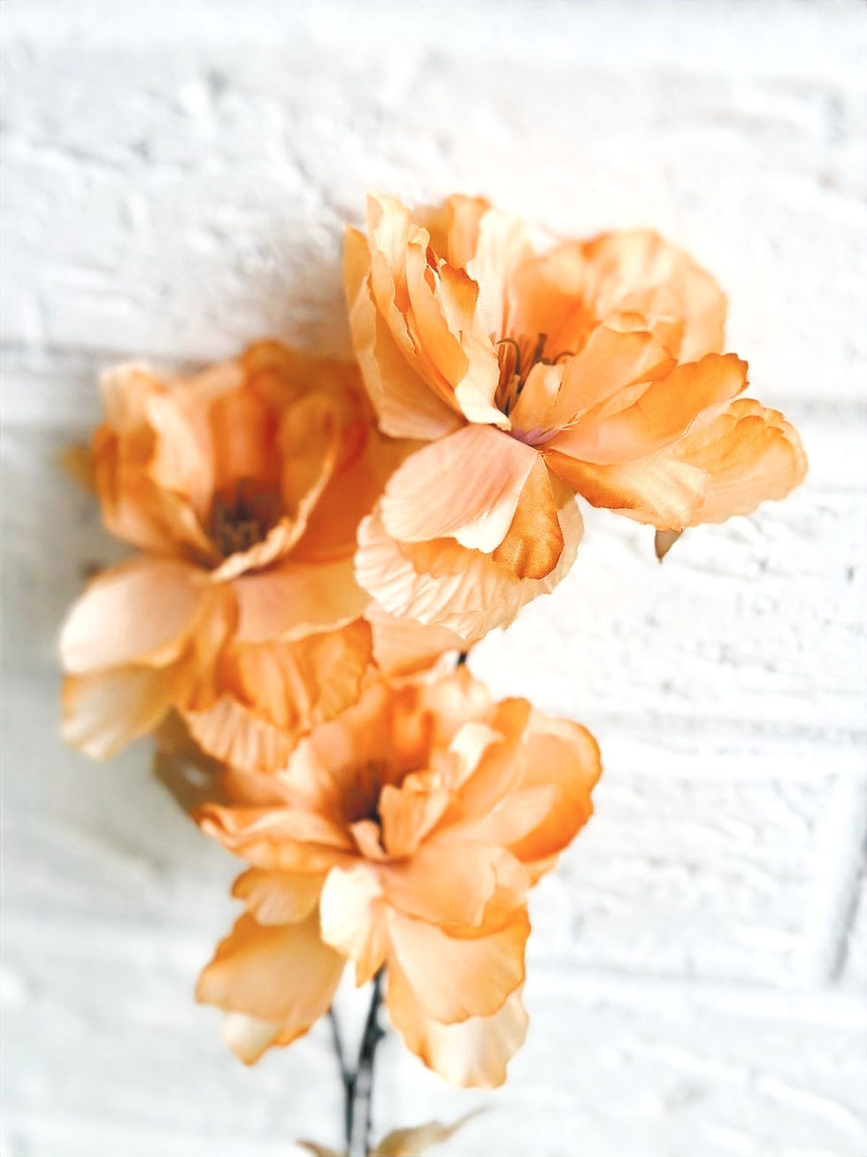 Oriential Poppies Stem