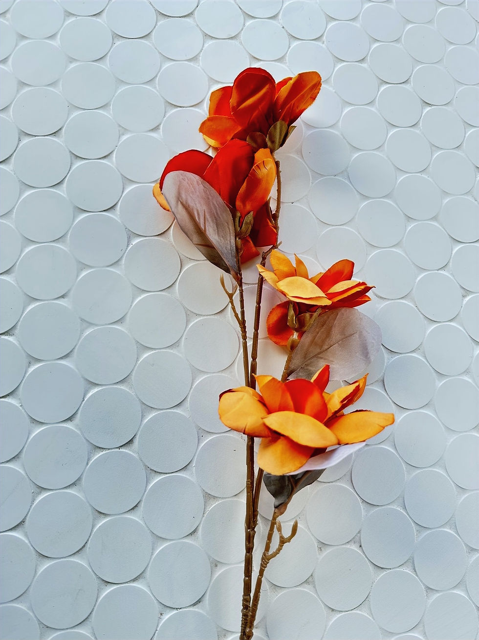 Thumbnail: Magnolia Stems (Type B)