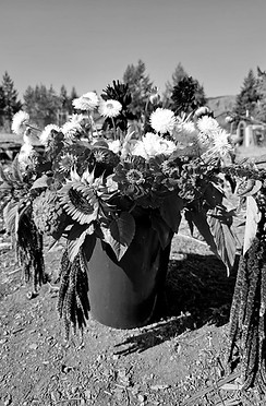 20230919_102734 (1)_edited.jpg
