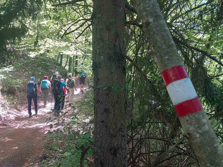 Označene su prve “Silent Hiking” staze u Parku prirode Žumberak